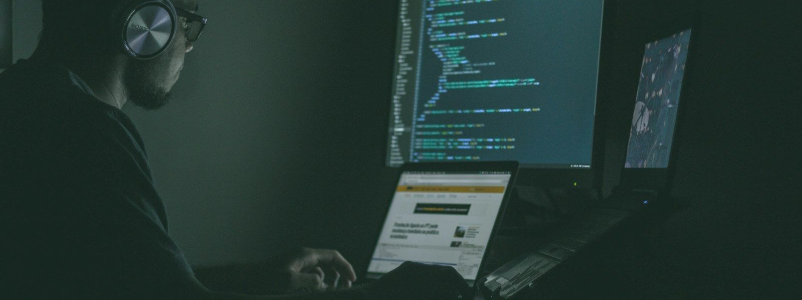 person using laptop computers