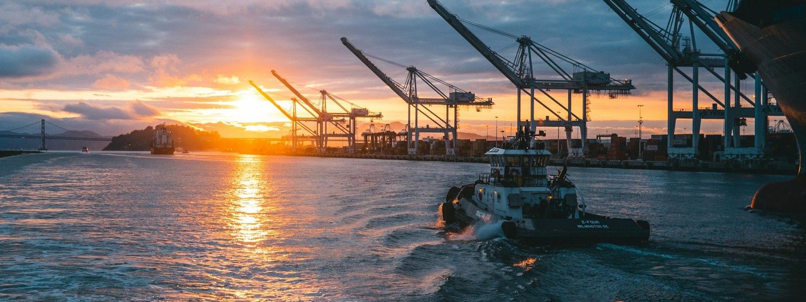 oil rigs on body of water